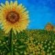 Sunflowers In Provence France (ORIGINAL ACRYLIC PAINTING) 8" x 10" by Mike Kraus