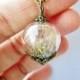 Dandelion Seed Glass Orb Terrarium Necklace, Small Orb In Silver or Bronze, Bridesmaids Gifts
