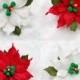 Gumpaste Poinsettia - White or Red - 2 inch or 3 inch Sizes Available