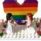 Gay Lesbian Wedding Cake Topper Lego Couple Minifigures Rainbow Heart White Picket Fences Wedding Gift Favor
