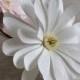 Crepe Paper Star Magnolia, Single Stem - Wedding Flowers - Home or Office Decor - Florist Supply - Paper Flowers - First Anniversary Gift