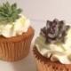 Cupcake toppers - Gum paste succulents - Set of 12