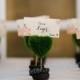 Beter Gifts® 歐式創意晚宴結婚佈置小物 尾牙年會席位卡BETER-ZH017/B綠色小盆栽桌卡