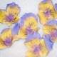 Gumpaste Pansies (Pansy) Cake Toppers, Cupcake Toppers, Weddings, Bridal Shower Cakes, Birthday Cakes