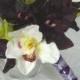 Orchid Bridal Bouquet 4 piece Destination wedding plum and white orchid silk flower bouquet