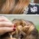 15 Super-Easy Hairstyles For Lazy Girls Who Can't Even