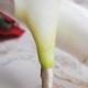 Cream Calla Lily Real Touch Boutonniere