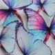 29 edible frozen butterflies - frozen cupcake toppers - frozen decoration - frozen cake decoration edible butterflies by Uniqdots on Etsy