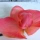 Hot pink orchid hair pin, Bridal hair accessory, Real touch flower