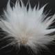 TENDER - White Feather Bridal Hair Clip, Wedding hair piece accessory w/ Rhinestone