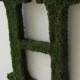 Moss Covered Letter - Moss Covered Letter Wedding Monogram ( 12 inches )