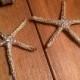 Gold Starfish hair clip ocean wedding beach bride sea life updo hairstyle accessories starfish clips/pins