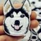 Husky dog Patch husky dog Iron on patches husky dog embroidered patch dog applique badge patch fashion patches iron on