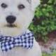 Dog Bow Tie in Navy and White Gingham