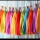 FIESTA Handmade Tissue Tassel Garland / Fiesta Tassel Backdrop / Fiesta Bunting / Bright Colors Garland