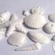 12 White Edible Sea shells- Variety for cakes, beach wedding cakes. Under the sea ocean cakes, mermaid cakes, Gumpaste edible seashells