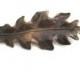 Ruwstic Leaf Hairpin Leaves Hair Accessories Rustic Woodland Wedding Hairpin