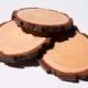 8 - 10 cm Wood Slices 10 pack. 3 - 4 Inch Tree Slices, Wood Burning, Rustic Wedding Wood Slices, Wood Slice Coasters, Pyrography Wood