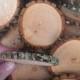 100 1-2" Rustic Wood Tree Slices Wedding Decor SOURWOOD Disc Log Round LARGE