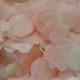 1500 pieces handmade biodegradable wedding confetti- peach pale pink and ivory