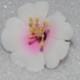 10 Gumpaste Cherry Blossoms White or White w/ Pink (Flower Blossoms Sugar  Fondant Cake Cupcake Topper)