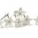 White Jasmine Flower Accessories Hair pin Set of 6, Jasmine Wedding Hair Accessories, Wedding Hair Flower Hair Small Hair Flowers Set of 6