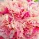 Bridal Bubblegum Pink Peony Bouquet