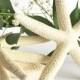 Starfish - White Starfish - Beach Wedding Decor - Starfish Crafts - Bulk Starfish - 6" Starfish - Tropical Wedding - Sea Shell Home Decor