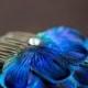 CARLY COMB - Peacock Feather Comb Fascinator Wedding Hair Accessory - Made to Order