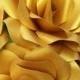 6 x Gold Paper Roses, Handmade Paper Flowers - Christmas Flowers - Christmas Decorations