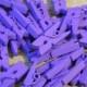 Pack of 100 Mini Purple Clothespins