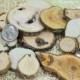 100 Wood Slices- 1 to 3 inch