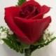 Red Open Rose  Boutonnière FREE Shipping