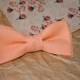 Peach wedding Peach bow tie Linen bow tie Linen tie for groom Dusty peach bowtie Groom necktie Groomsmen bow ties Peach linen pocket square - $9.53 USD