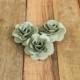 150 Pcs Sage Birch Wood Roses for Weddings, Home Decorations, Scrapbooking and Floral Arrangements