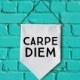 Carpe Diem wall banner wall hanging wall flag canvas banner quote banner single pennant bathroom decor motivational quote
