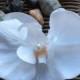 one piece white silk orchid,4"x3 2/1"Real Touch Artificial Phalaenopsis silk orchid , DIY Wedding