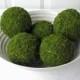 Moss Pomander Balls, Set of 5,  3 inch Moss Balls for Home or Wedding Decor