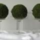 Moss Pomander Balls, Set of 3,  4 inch Moss Balls for Home or Wedding Decor