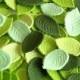 24 MIXED GREEN LEAVES edible sugar paste flowers cake decorations