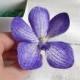 Purple orchid hair pin, Flower hairpin , Wedding hair pin, Orchid hair piece, Violet realistic flower, Floral headpiece, Bridal headpiece - $12.00 USD