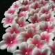 Cake Decorations White Gumpaste Blossoms with Deep Pink