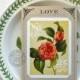 Pull-out postcard wedding invitation: Garden of Love / 100% recycled paper, kraft, rustic, vintage, love birds [DEPOSIT]