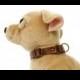 Martingale Dog Collar, Dog Collar, Limited Slip Collar humane dog collar Gift for dog gift for pet Brown Leather Collar Greyhound Dog Collar