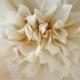 French Vanilla Tissue Paper Pom .. Wedding Decoration / Anniversary / Birthday / Party Decoration