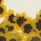 Sunflower Pressed Flowers - pack of 25  1 inch diameter yellow petal dark brown center