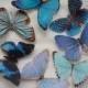Hand cut silk butterfly hair clips with Swarovski Crystal. Wedding, Prom - Set of 7 BLUES