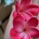 Hot Pink/Fuchsia frangipani Plumeria Real Touch Flowers flower heads Cake Toppers Wedding Decorations