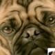 Custom pet portrait from photo,  Pop Art Pets, Oil Painting, women gift ideas, mens gift ideas - Digital Art File