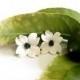 Dogwood Stud earrings - white wedding decorations, studs flower earrings, jewelry bride white, white flower